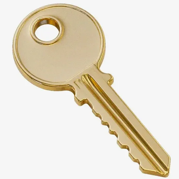 Metal key — Cosmo