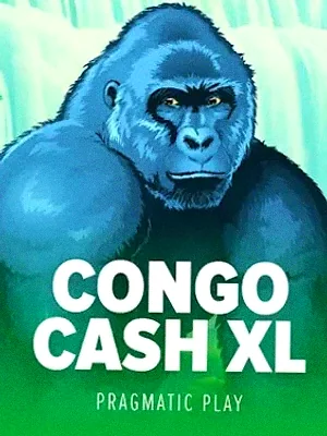 Congo Cash XL at Cosmo
