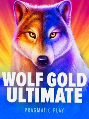 Wolf Gold Ultimate at Cosmo